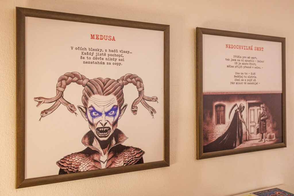 Netopýr Foto